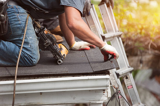 Best Roof Maintenance Services  in Electra, TX